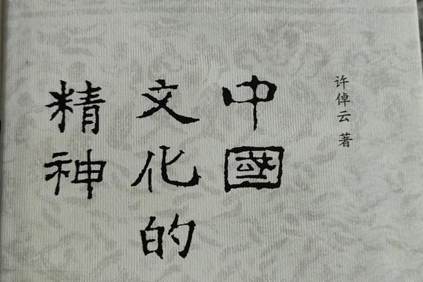 中国的文化(中国的文化精神)