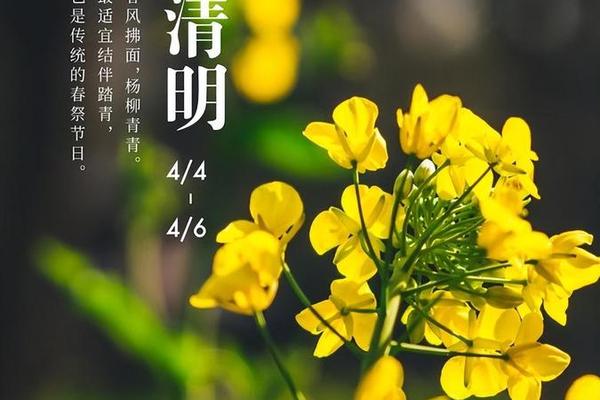 清明文化节图片_清明节照片高清图片大全 清明文化节图片_清明节照片高清图片大全