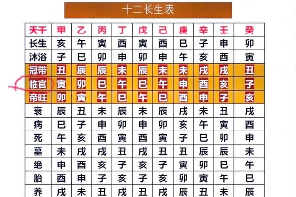 八字运气