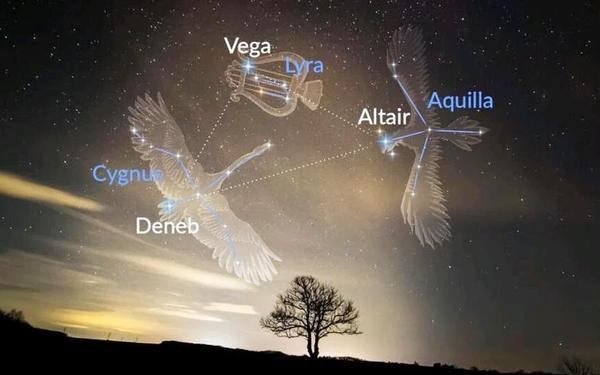 牛郎星是哪个星座的亮星图片(北斗七星,牛郎织女星,还有什么星) 牛郎星是哪个星座的亮星图片(北斗七星,牛郎织女星,还有什么星)