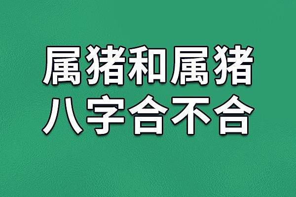 96鼠男和95猪女八字合不合