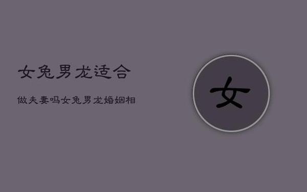 属龙和属兔的婚配合适吗 属龙和属兔的婚配合适吗