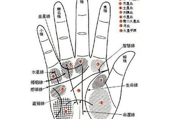 男人右手心痣相大全;右手掌心长了一个痣