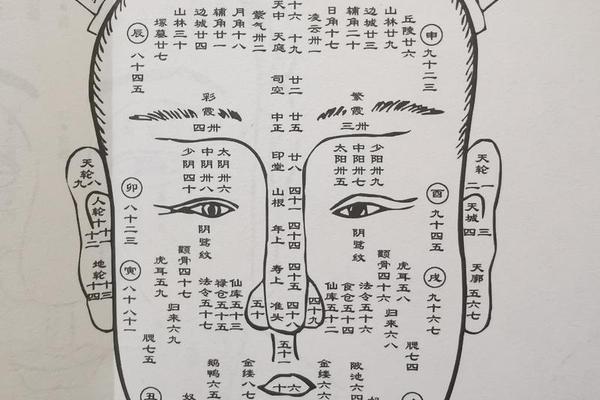 麻衣痣相—麻衣相法大全图解痣 麻衣痣相—麻衣相法大全图解痣