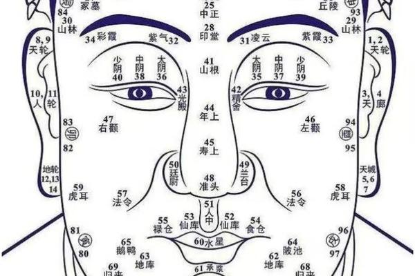 寿年痣相-什么痣看长寿晚年福
