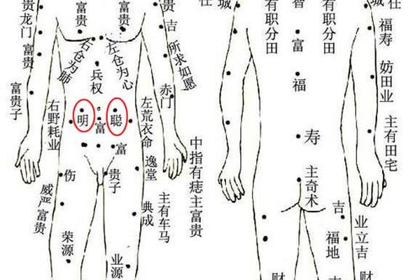 相肚子有痣_肚子上有个痣好不好