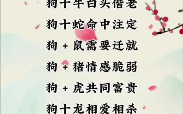 1982年属狗的最佳婚配表 1982年属狗的最佳婚配表