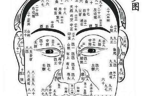 麻衣神相颧骨长痣-麻衣相术面痣图解