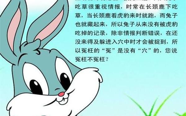 82年属兔的最佳配偶属相是什么 82年属兔的最佳配偶属相是什么