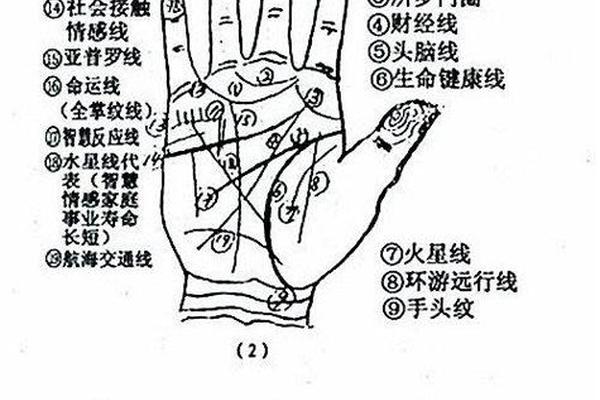 手掌上的痣相,手掌上的痣的位置与命运图解