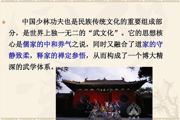 武术文化传承的意义和价值—中华文化的价值和意义