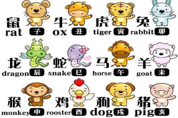 姓名属相图像