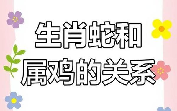 鸡和蛇的属相合不合婚姻相配_93鸡01蛇婚配为大忌 鸡和蛇的属相合不合婚姻相配_93鸡01蛇婚配为大忌
