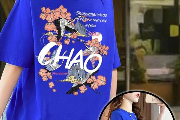 文化衫中国风_文化衫上的创意图案 文化衫中国风_文化衫上的创意图案