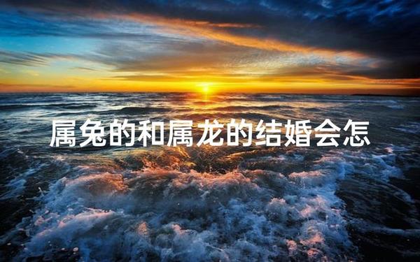 属兔的和属龙的能结婚吗 属兔的和属龙的能结婚吗