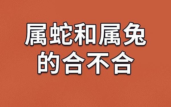 属兔和属蛇谁厉害 属兔和属蛇谁厉害
