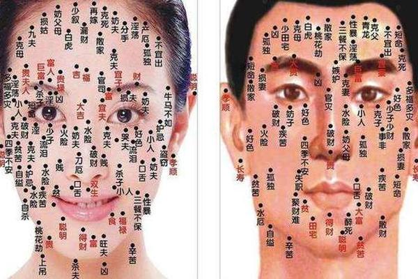 女孩子左眉尾下有痣相;男人左眉尾有痣图解