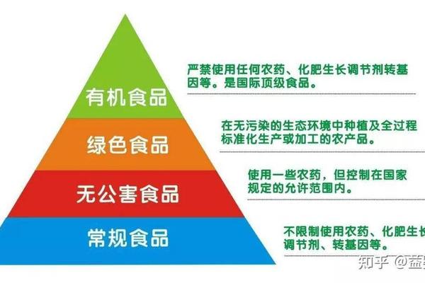 食品文化包括哪些内容-食品包含哪些种类