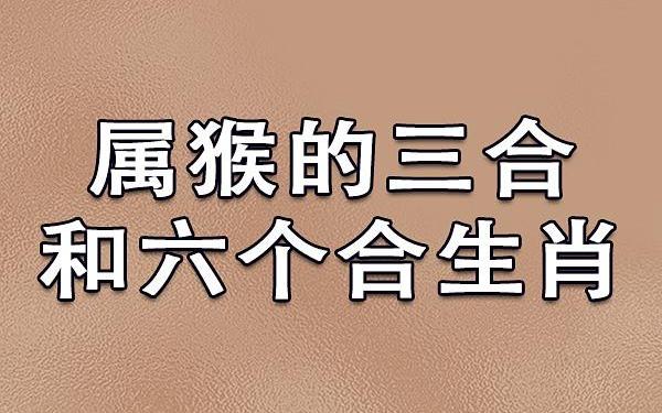 属猴是哪一年出生_属猴斗不过的三个人 属猴是哪一年出生_属猴斗不过的三个人