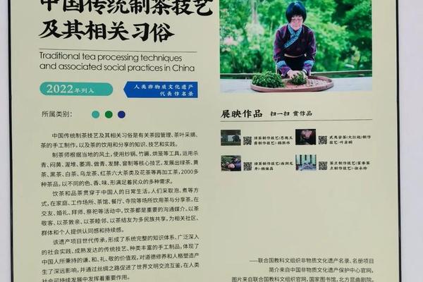 非遗文化简介_非遗有多少项