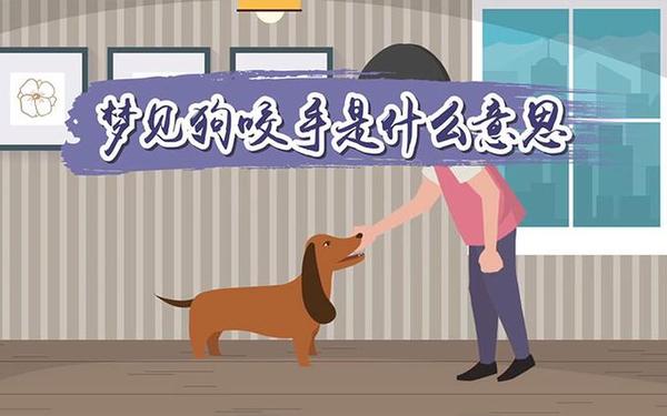 梦见狗咬手和脚的含义 梦见狗咬手是要发财 梦见狗咬手和脚的含义 梦见狗咬手是要发财