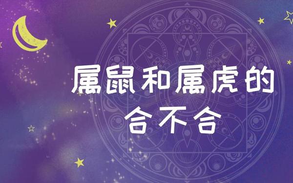 鼠和虎婚姻相配好不好(老虎和鼠相配婚姻如何) 鼠和虎婚姻相配好不好(老虎和鼠相配婚姻如何)