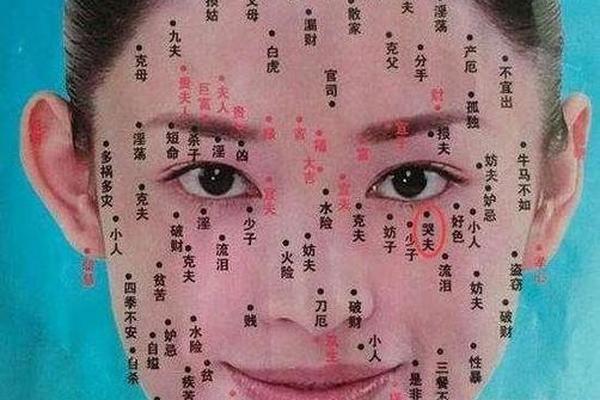 痣相女解说,全身痣相图解大全 痣相女解说,全身痣相图解大全