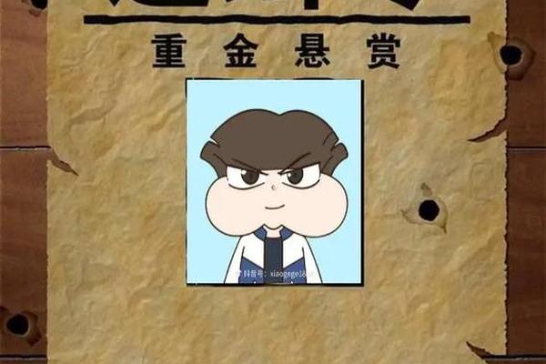姓名重名抄袭