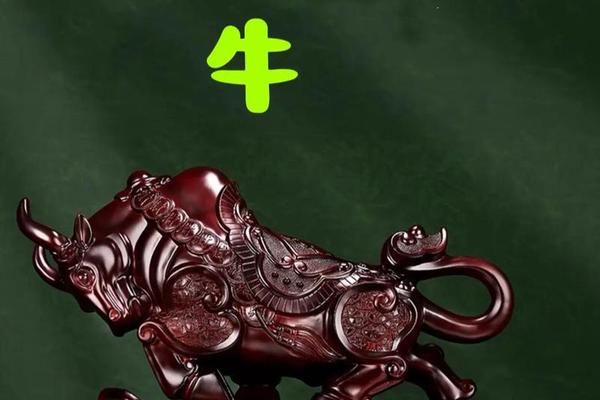 属鼠的人适合做什么生意比较好