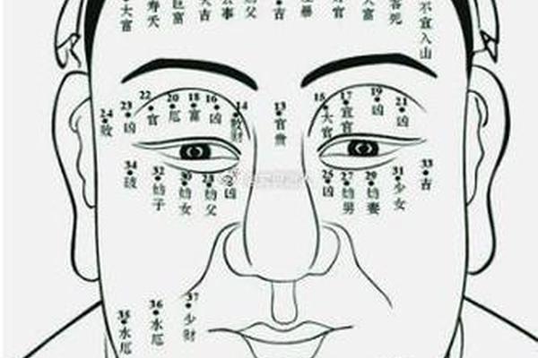 八字准还是面相准
