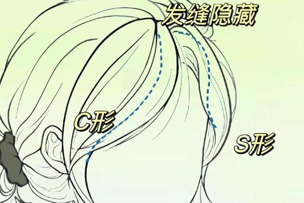 法式刘海和八字刘海的区别