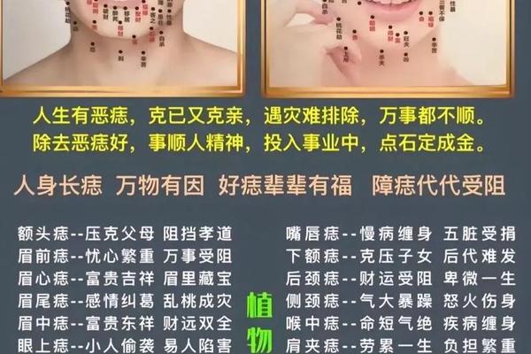 痣相的说说_描写脸上的痣的句子 痣相的说说_描写脸上的痣的句子