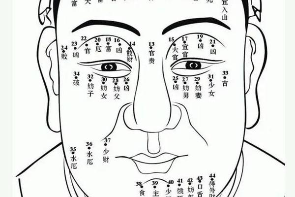 诸葛亮痣相法白话本—善痣和恶痣照片 诸葛亮痣相法白话本—善痣和恶痣照片