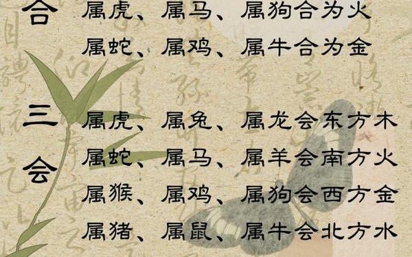 属猴和属兔的合不合适-属猴和属兔合不合 属猴和属兔的合不合适-属猴和属兔合不合