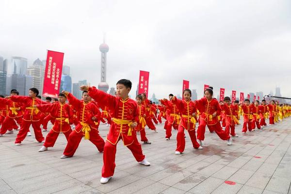 武术文化(传统武术文化)