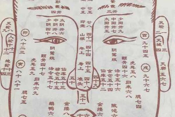 面部痣的麻衣相—痣相大全图解
