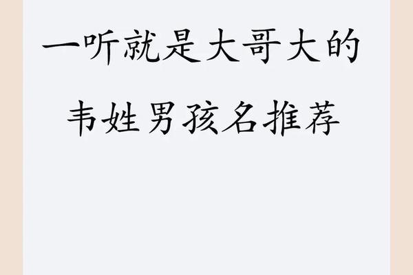 韦伟姓名打分