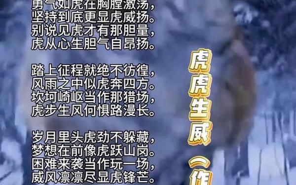 虎和谁是天生一对的顺口溜(天生一对最后谁当国王了) 虎和谁是天生一对的顺口溜(天生一对最后谁当国王了)