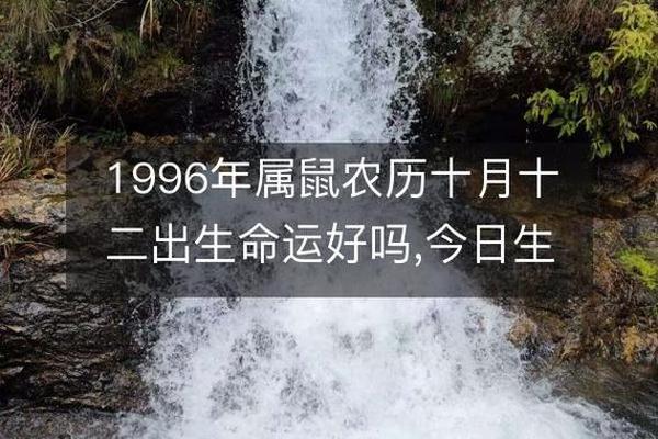 属鼠1996涧下水命几点出生好