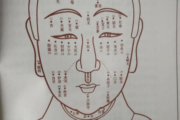 麻衣神相耳后痣解释-麻衣神相耳朵图解