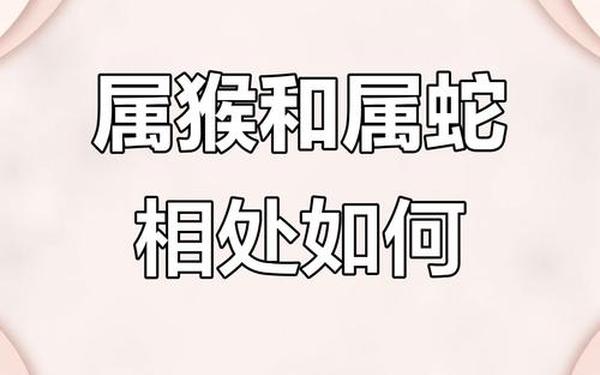 属猴和属蛇相冲吗婚姻(属猴人和属蛇人和不和) 属猴和属蛇相冲吗婚姻(属猴人和属蛇人和不和)