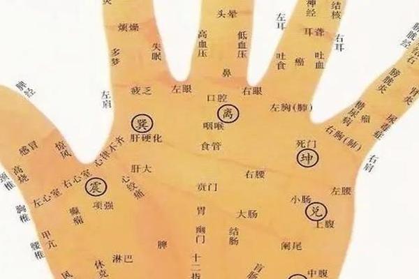 女生手背手指痣相解释、女士手背各部位长痣图解