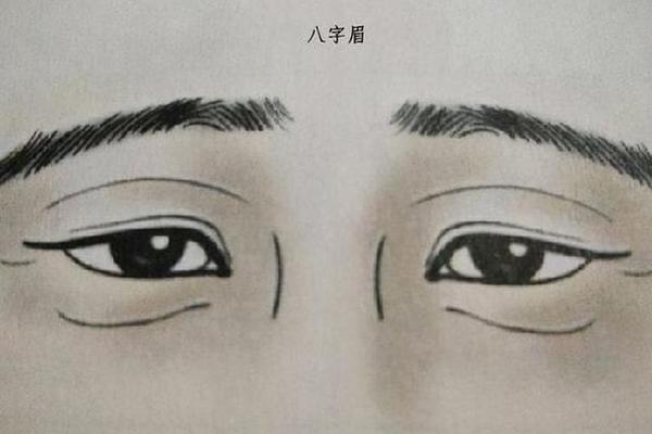 八字眉好看吗