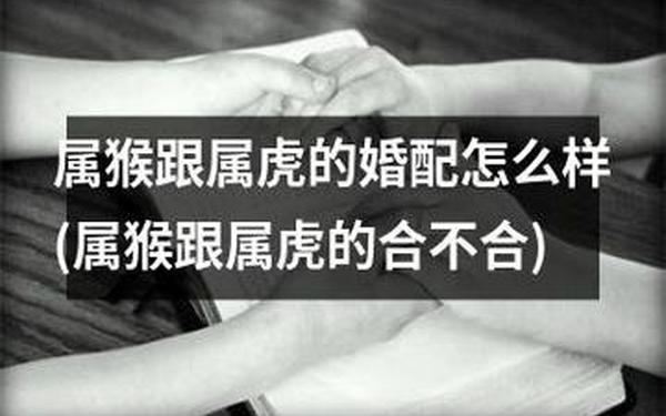 属猴和属虎的合适吗_属虎和属猴能过到一辈子吗 属猴和属虎的合适吗_属虎和属猴能过到一辈子吗