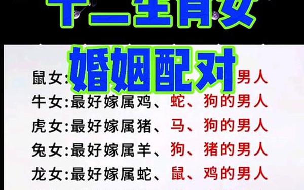 96鼠男和02马女姻缘—96鼠跟02马适合做夫妻吗 96鼠男和02马女姻缘—96鼠跟02马适合做夫妻吗