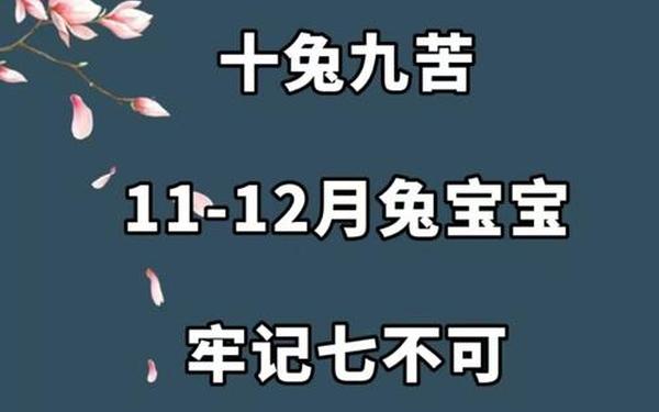 十兔九苦 十兔九苦