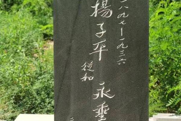 烈士姓名杨双