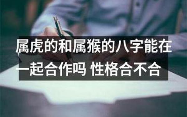 属猴的跟属虎的合不合(猴和虎合吗) 属猴的跟属虎的合不合(猴和虎合吗)