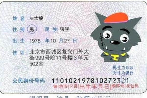 成年了身份证号和姓名