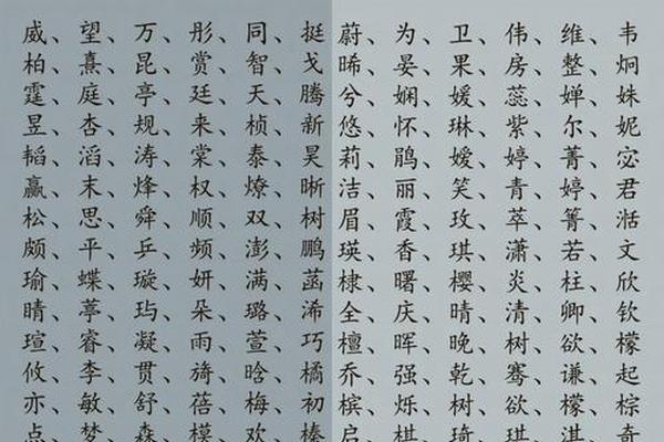 单子 姓名